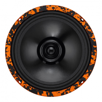 20: DL Audio Gryphon Lite 200 V.2 эстрадная акустика